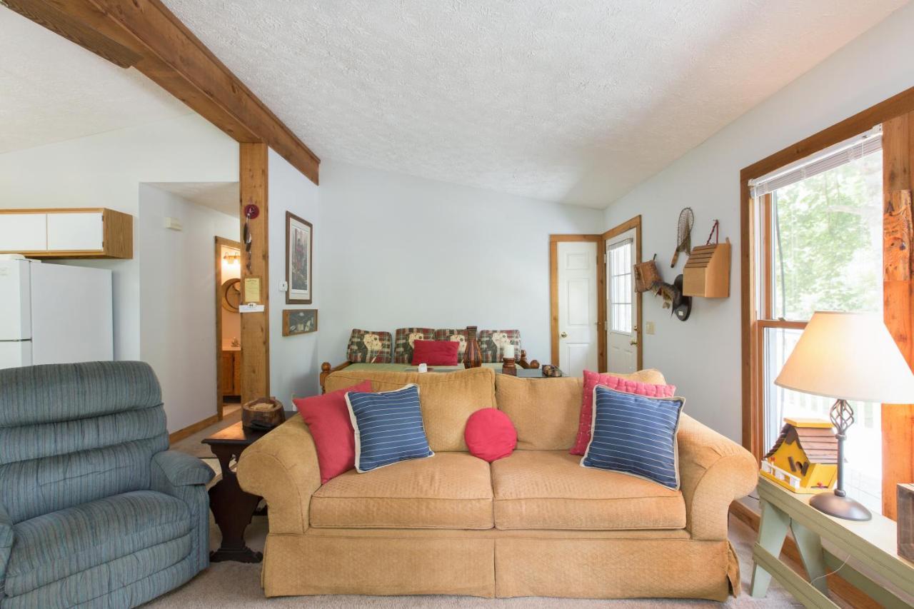Reedy Patch Cabin Villa Hendersonville Bagian luar foto