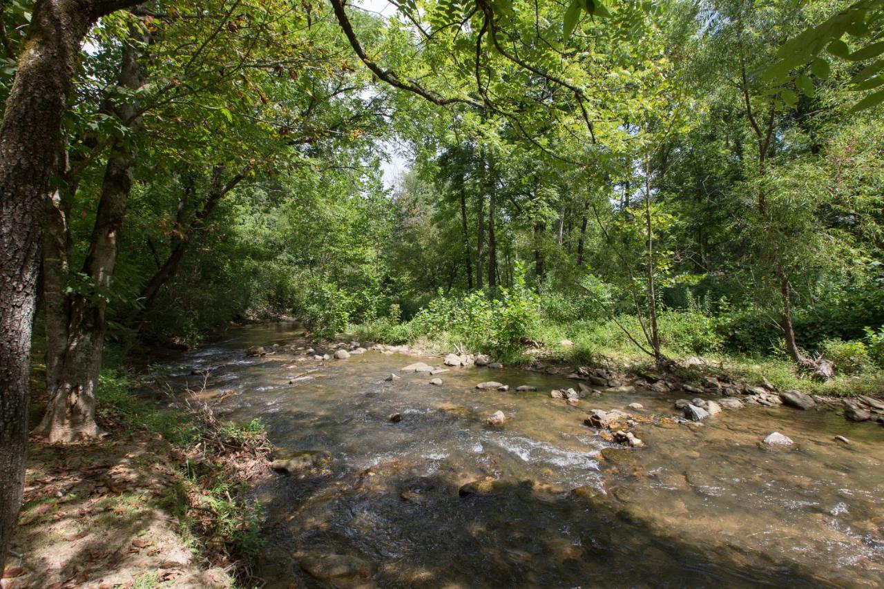 Reedy Patch Cabin Villa Hendersonville Bagian luar foto